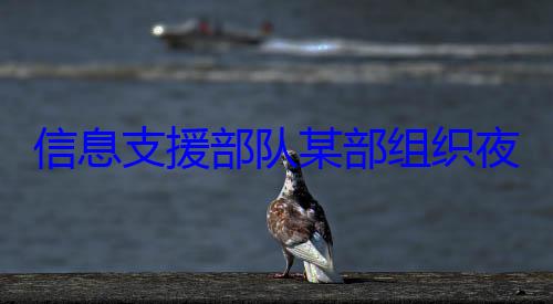 练图队某部组织夜间修理训信息支援部